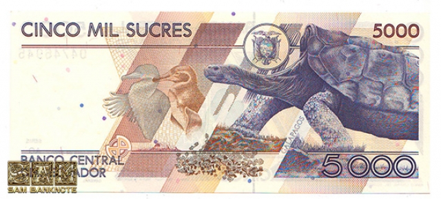 اکوادور-5000 سوکرس