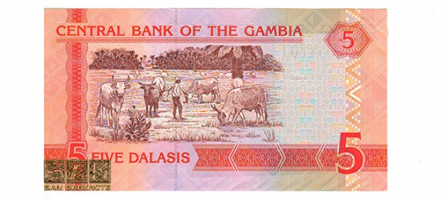 گامبیا- 5 دالاسیس