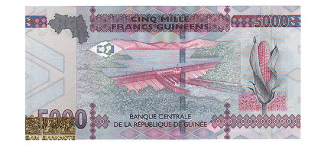 گینه-5000 فرانک گینه