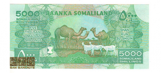 سومالی لند - 5000 شیلینگ